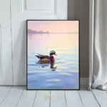 ANI canadian duck in water 065