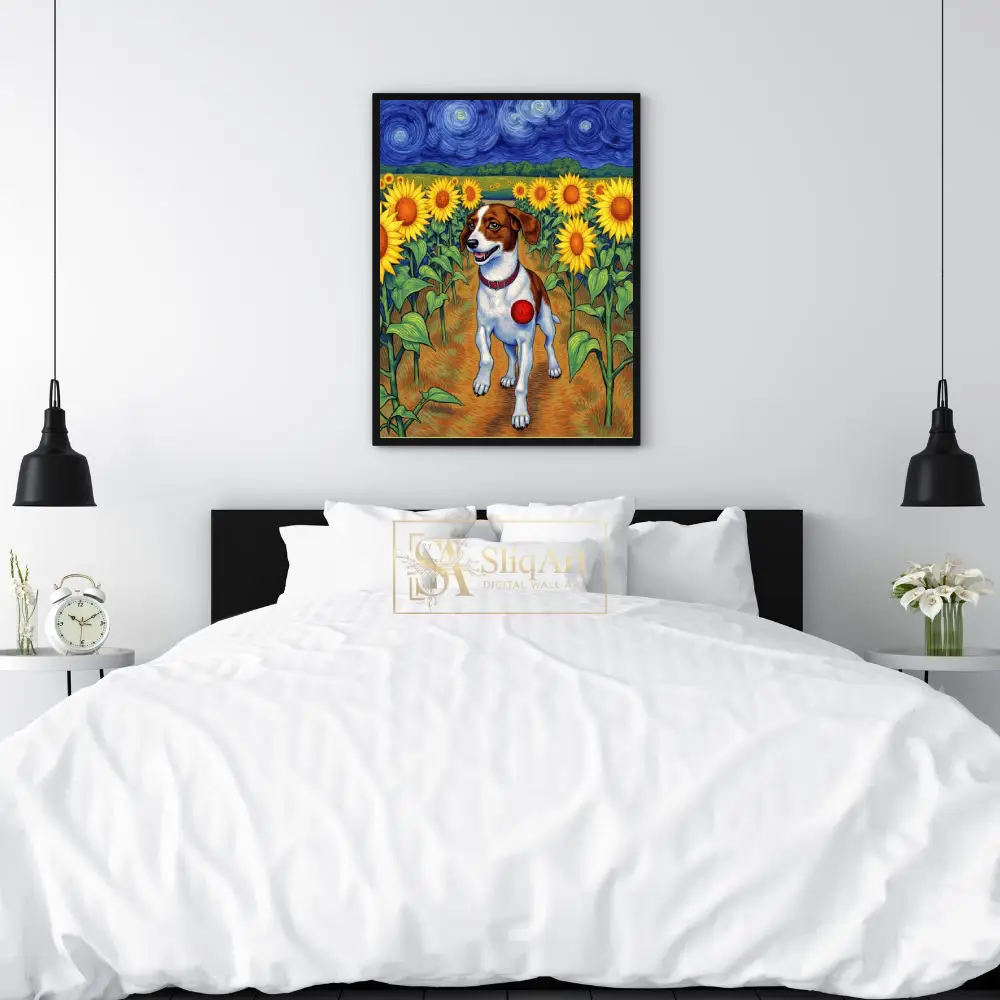 ANI-jack-russell-terrier-dog-walking-in-field-with-sunflowers-279-02 ANI jack russell terrier dog walking in field with sunflowers 279