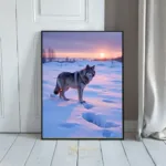 ANI wolf in snow 464