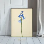 FLO bluebell flower stem 021